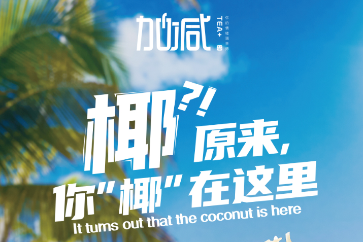 k8凯发.中国椰子系列新品火爆上市